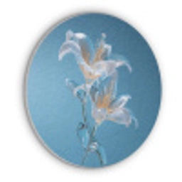 Lelies - Blauw - Glazen Akoestische PET Vilt - Rond klein -3d
