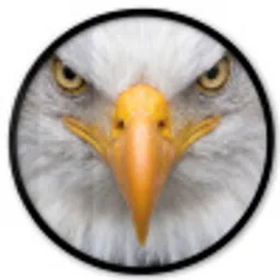 Amerikaans - Zeearend - Portret - Geel Fotolijst rond zonder passe partout klein -3d