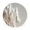 Pluimen - Beige - Minimalistisch Wandcirkel aluminium klein -3d
