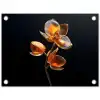 Bloem - Orchidee - Oranje tuinposter los doek klein -3d