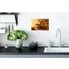 Leeuwen - Zonsondergang - Afrika - Savanne - Dieren Muursticker klein -keuken