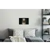 Dier - Kok - Stokstaartje Muursticker klein -slaapkamer