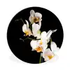 Orchidee - Bloemen - Planten - Botanisch Wandcirkel aluminium klein -3d