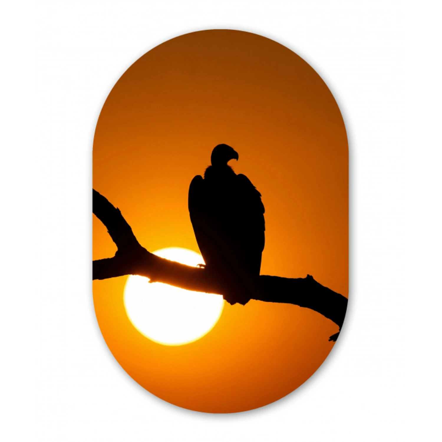 Gier - Tak - Zon - Oranje Wandcirkel Ovaal Forex klein -3d