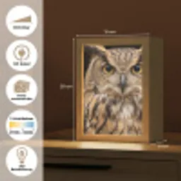 Oehoe - Uil - Portret - Bruin Light Box met kabel (Kinderlampje) klein -USP_websiteoverzichtDE