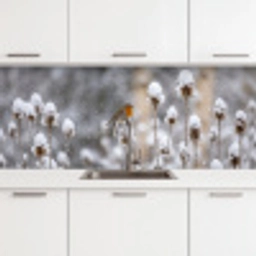 Roodborstje - Gedroogde bloem - Sneeuw - Winter - Vertederend keuken achterwand 2 middel -3d