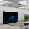 Vis - Stippen - Koraal - Blauw keuken achterwand spatscherm klein -3d_schuin