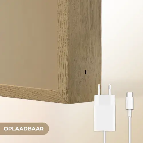 Vrouw - Beige - Bloem - Modern - Portret Light Box met batterij (Wandlamp) middel -USP_websiteoplaadbaarNL