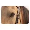 Paard - Oog - Bruin WCmat klein -3d