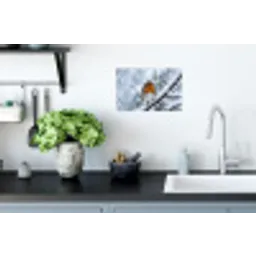 Roodborstje - Tak - Sneeuw - Winter - Levendig Muursticker klein -keuken