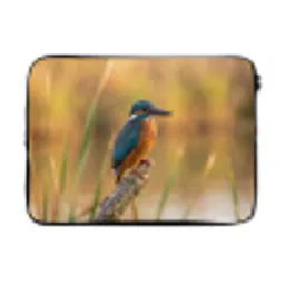 IJsvogel - Tak - Water - Kleurrijk - Levendig laptophoes neopreen klein -3d