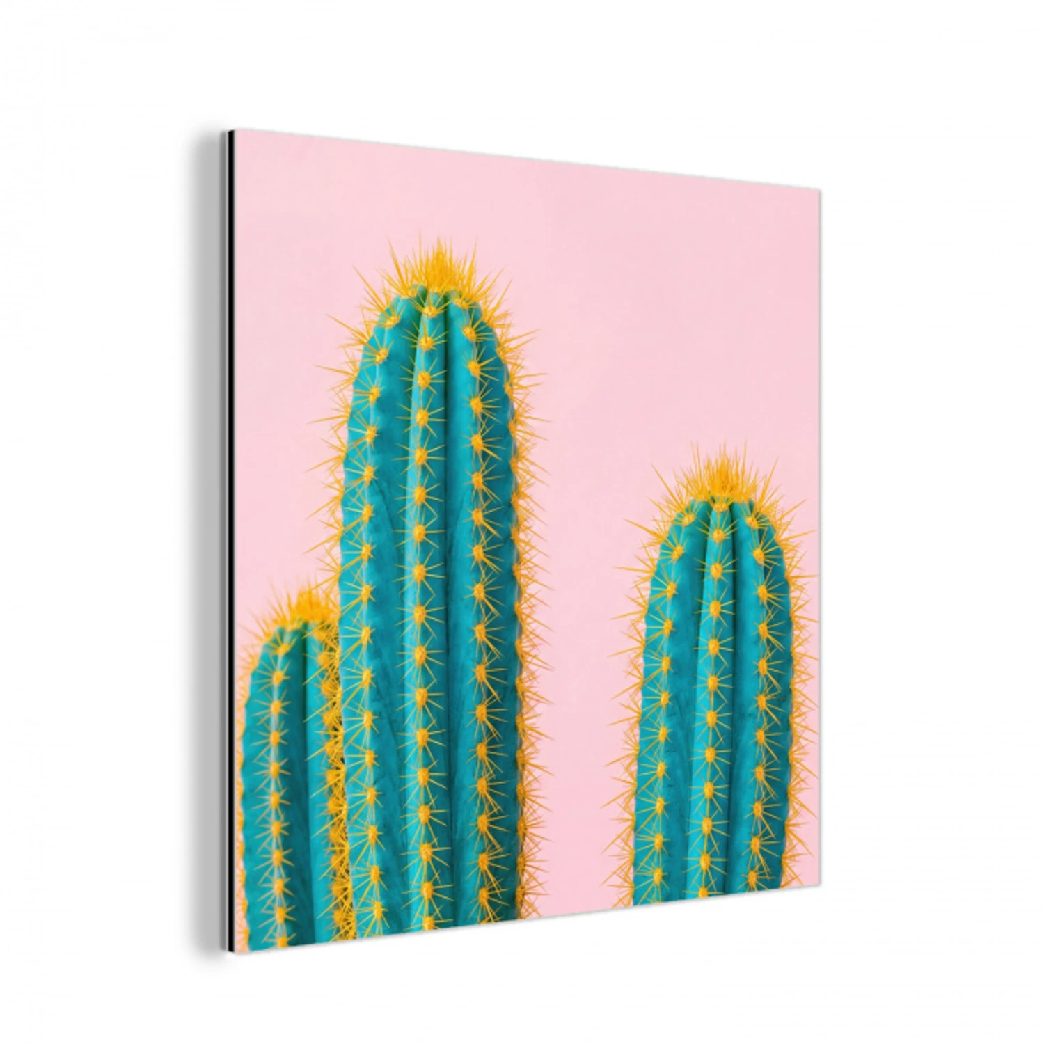 Cactussen - Modern - Pastel aluminium wit klein -3d