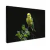 Parkiet - Tak - Bladeren - Geel canvas 2cm klein -z3d