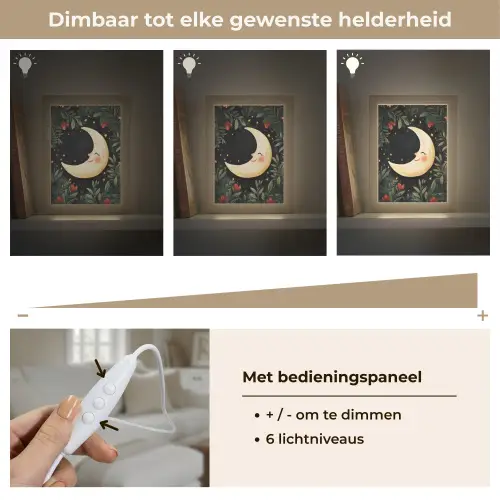 Maan - Bloemen - Nachthemel Light Box met kabel (Tafellamp) klein -USP_dimbaarNL