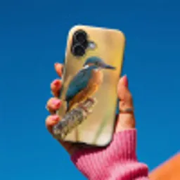 IJsvogel - Tak - Water - Kleurrijk - Levendig Toughcase MagSafe Apple iPhone 17 klein -Sfeer1V