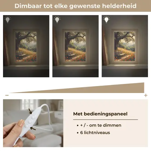 Bankje - Boom - Klaprozen - Heuvels Light Box met kabel (Tafellamp) klein -USP_dimbaarNL
