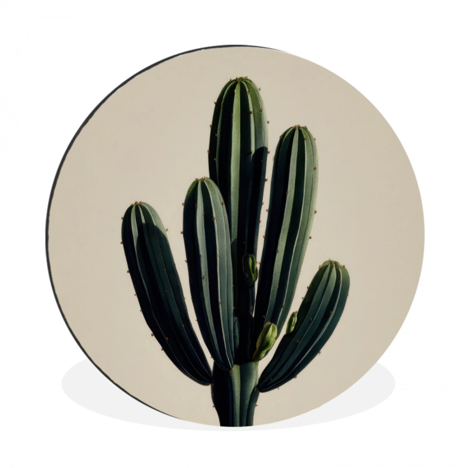 Cactus - Subtiel - Groen Wandcirkel aluminium klein -3d