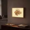 Strepen - Vis - Rond - Stekels Light Box met batterij (Wandlamp) middel -sfeer1