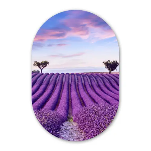 Lavendel - Natuur - Paars - Bomen Wandcirkel Ovaal Forex klein -3d