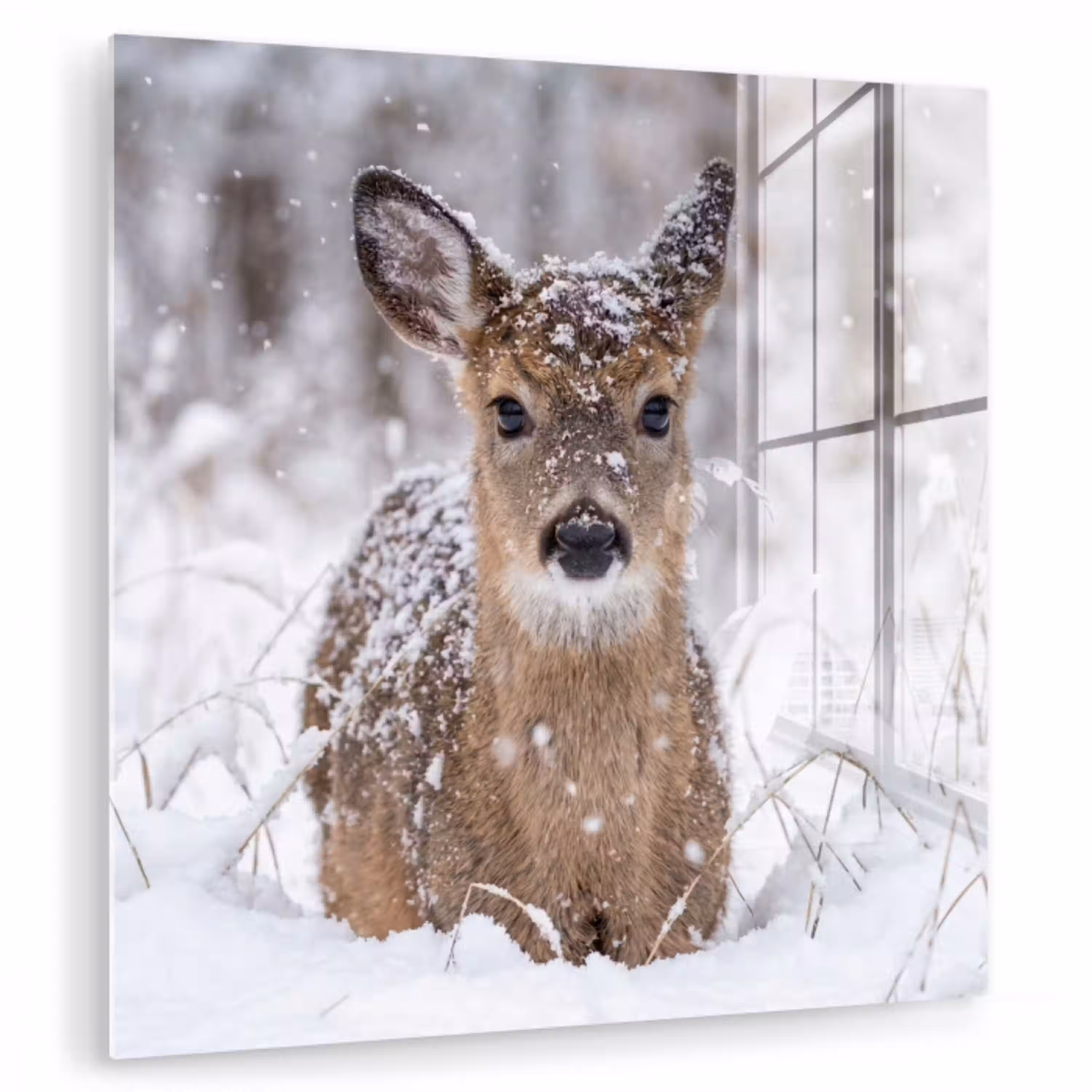 Hert - Sneeuw - Bos - Dieren - Vertederend plexiglas 5mm klein -zzzproduct_nieuw