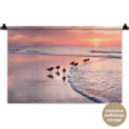 Meeuwen - Strand - Zee - Roze Wandkleed katoen klein -t3d_DE