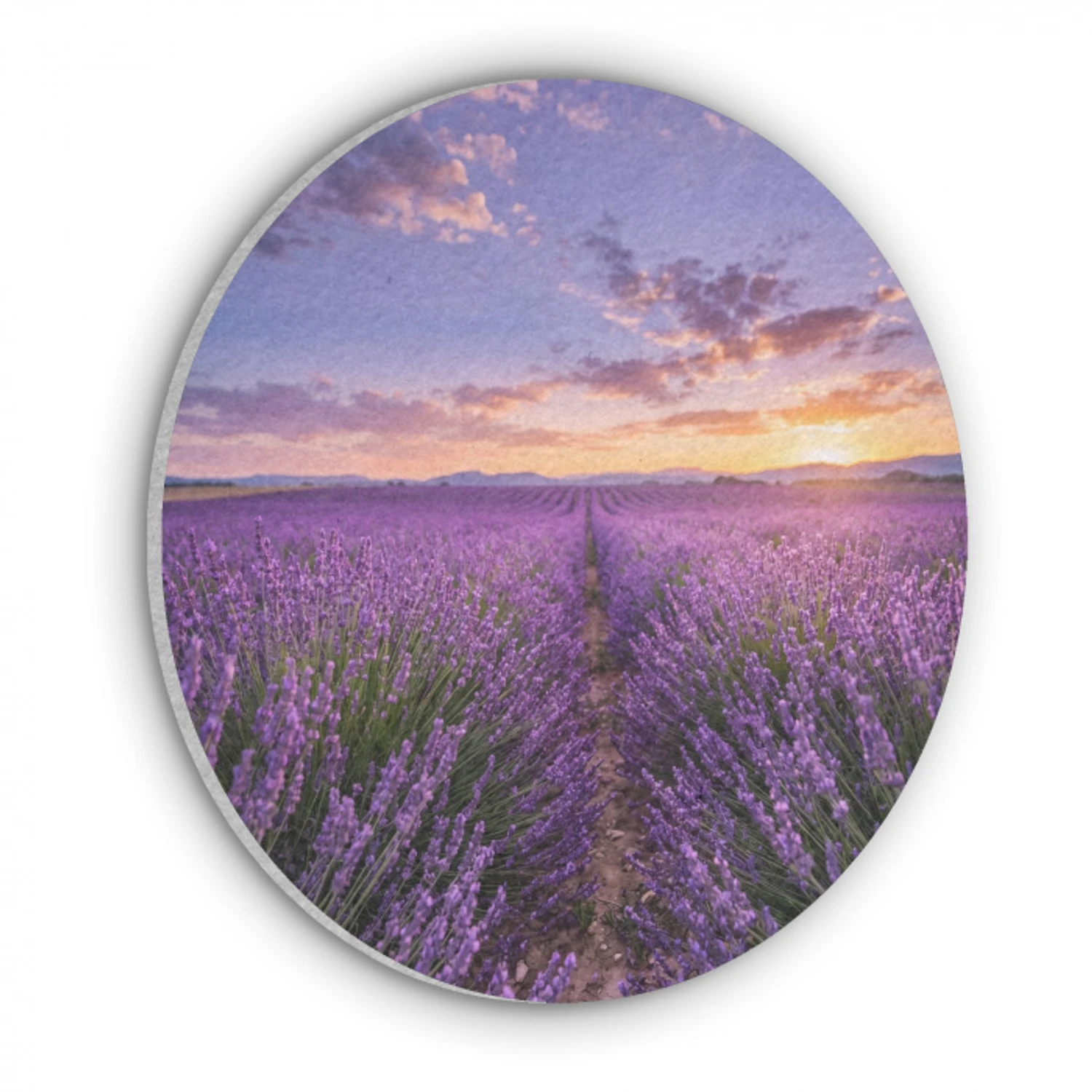 Lavendel - Veld - Natuur - Paars Akoestische PET Vilt - Rond klein -3d
