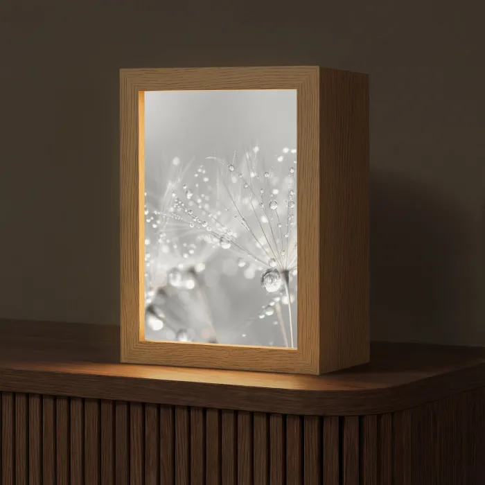 Paardenbloem - Waterdruppels - Stilleven - Modern Light Box met kabel (Tafellamp) klein -z3d_website