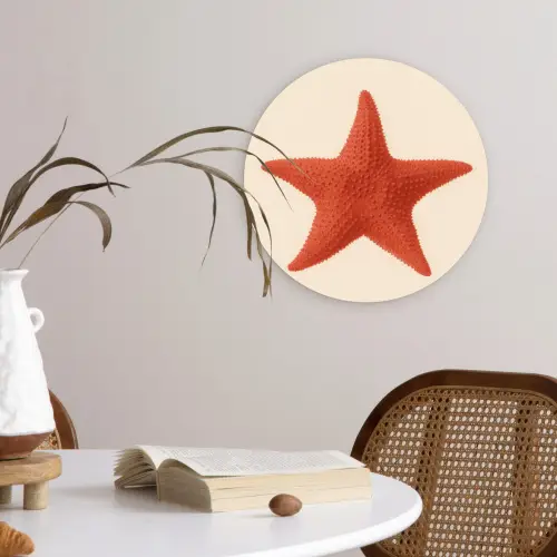 Zeester - Bobbels - Rood Wandcirkel kunststof plaat 5mm dik klein -sfeer4