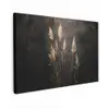 Siergras - Pluimen - Verlichting - Zwart canvas 2cm klein -z3d