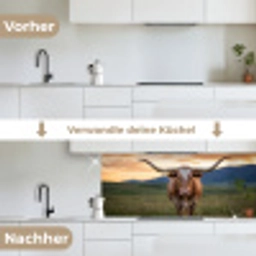 Longhorn - Landschap - Zonsondergang keuken achterwand 2 middel -voor-na_DE