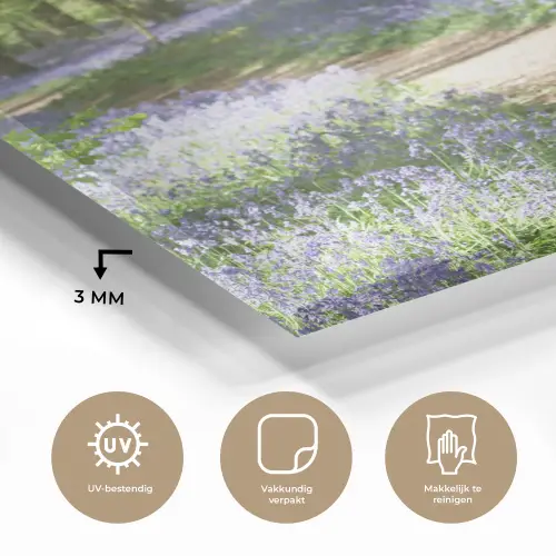 Bos - Pad - Bloemen - Paars - Groen - Natuur plexiglas 5mm klein -sfeer2