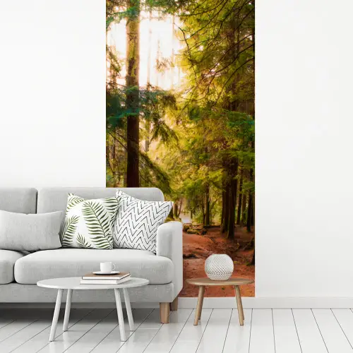 Bos - Pad - Bomen - Groen - Zon - Natuur fotobehang vinyl groot -woonkamer