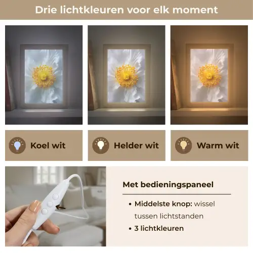 Wit - Bloem - Elegant Light Box met kabel (Tafellamp) klein -USP_lichtkleurNL