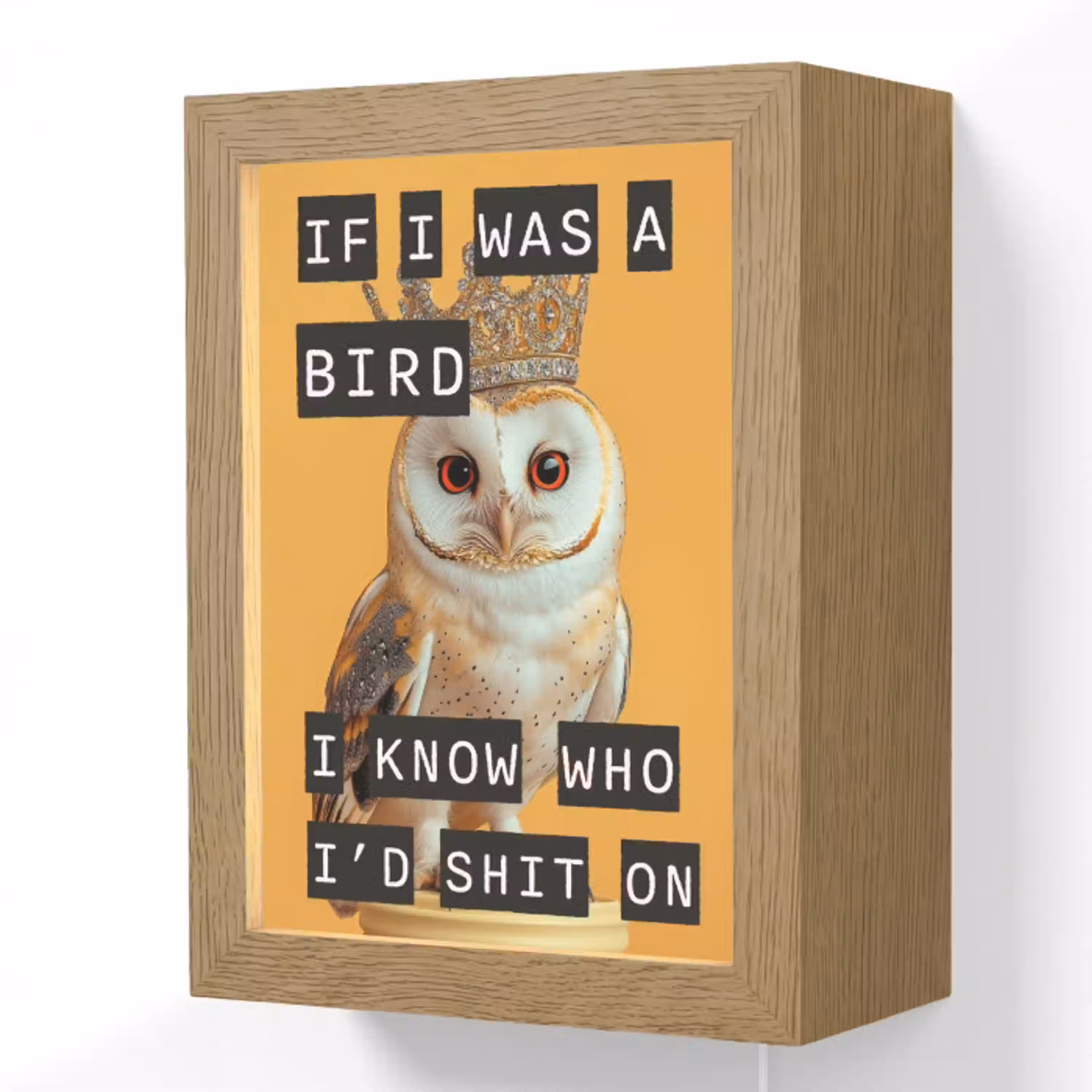 Geel - Uil - Vogel - Decoratie Light Box met kabel (Wandlamp) klein -3d