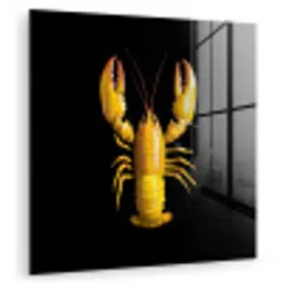 Kreeft - Geel - Stippen - Effen plexiglas 5mm klein -zzzproduct_nieuw