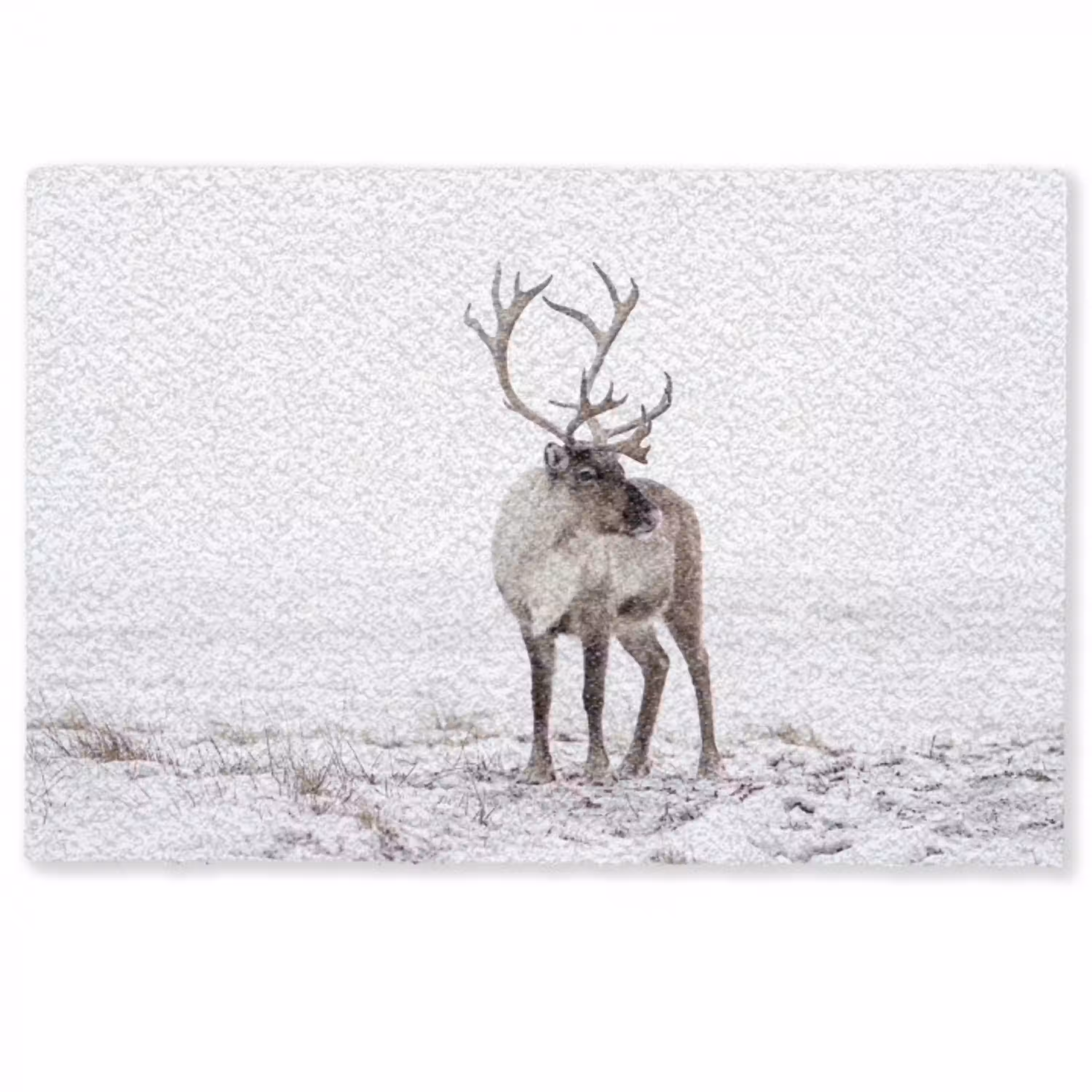 Rendier - Gewei - Sneeuw - Winter Deurmat klein -zkaufland3d