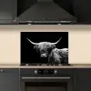 Schotse Hooglander - Koe - Zwart - Wit - Dieren keuken achterwand spatscherm klein -sfeer1