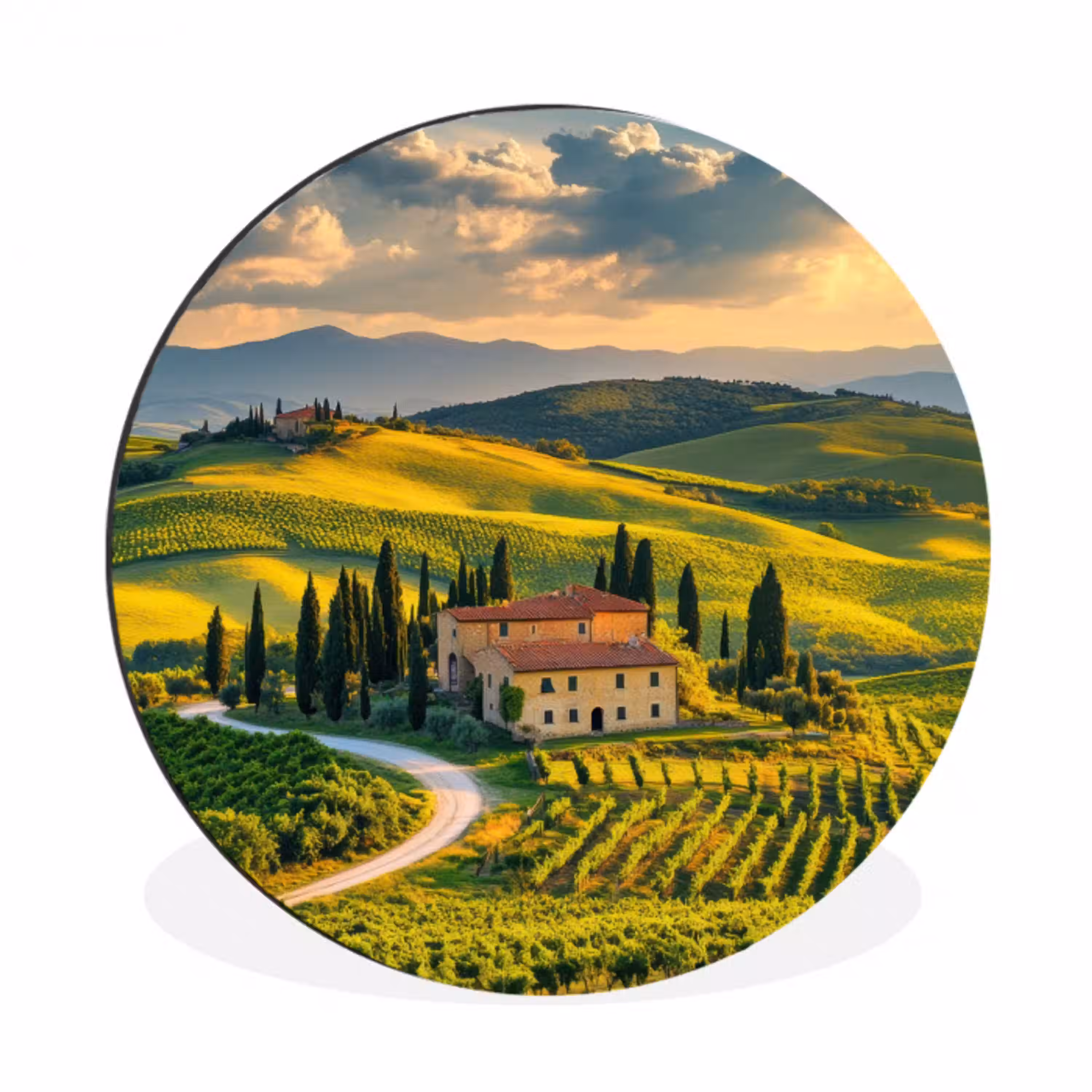 Toscane - Landschap - Wijngaarden Wandcirkel aluminium klein -3d