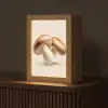 Champignons - Zacht - Beige Light Box met kabel (Tafellamp) klein -z3d_website