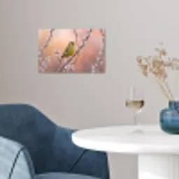 Groenling - Katjes - Lente - Natuur - Zacht poster papier klein -sfeer3