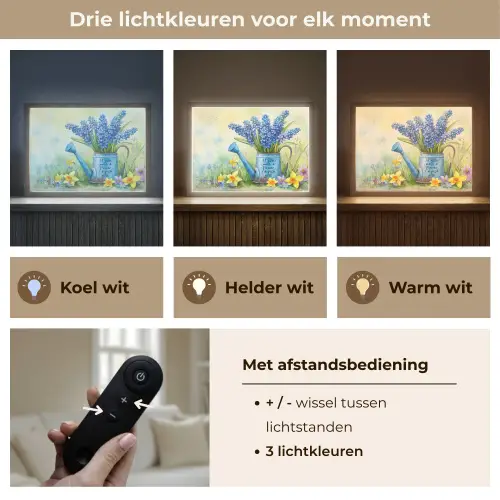 Lavendelbloemen - Quote - Gieter Light Box met batterij (Wandlamp) middel -USP_lichtkleurNL