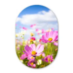 Bloemen - Wei - Paars - Gras - Wit - Wolken - Blauw Wandcirkel Ovaal Forex klein -3d