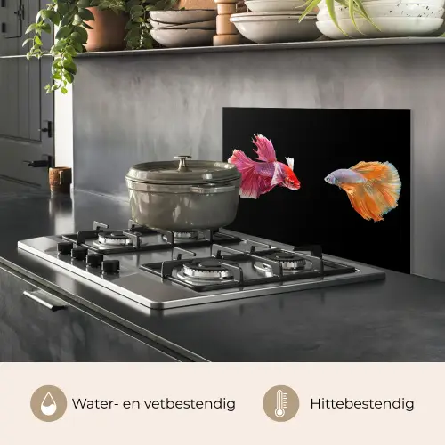 Vissen - Kleurrijk - Dieren keuken achterwand spatscherm klein -usp_NL