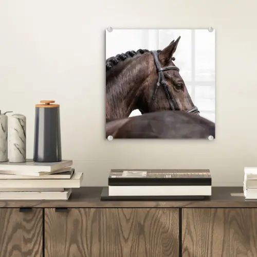 Portret - Paard - Elegant plexiglas 5mm klein -sfeer1