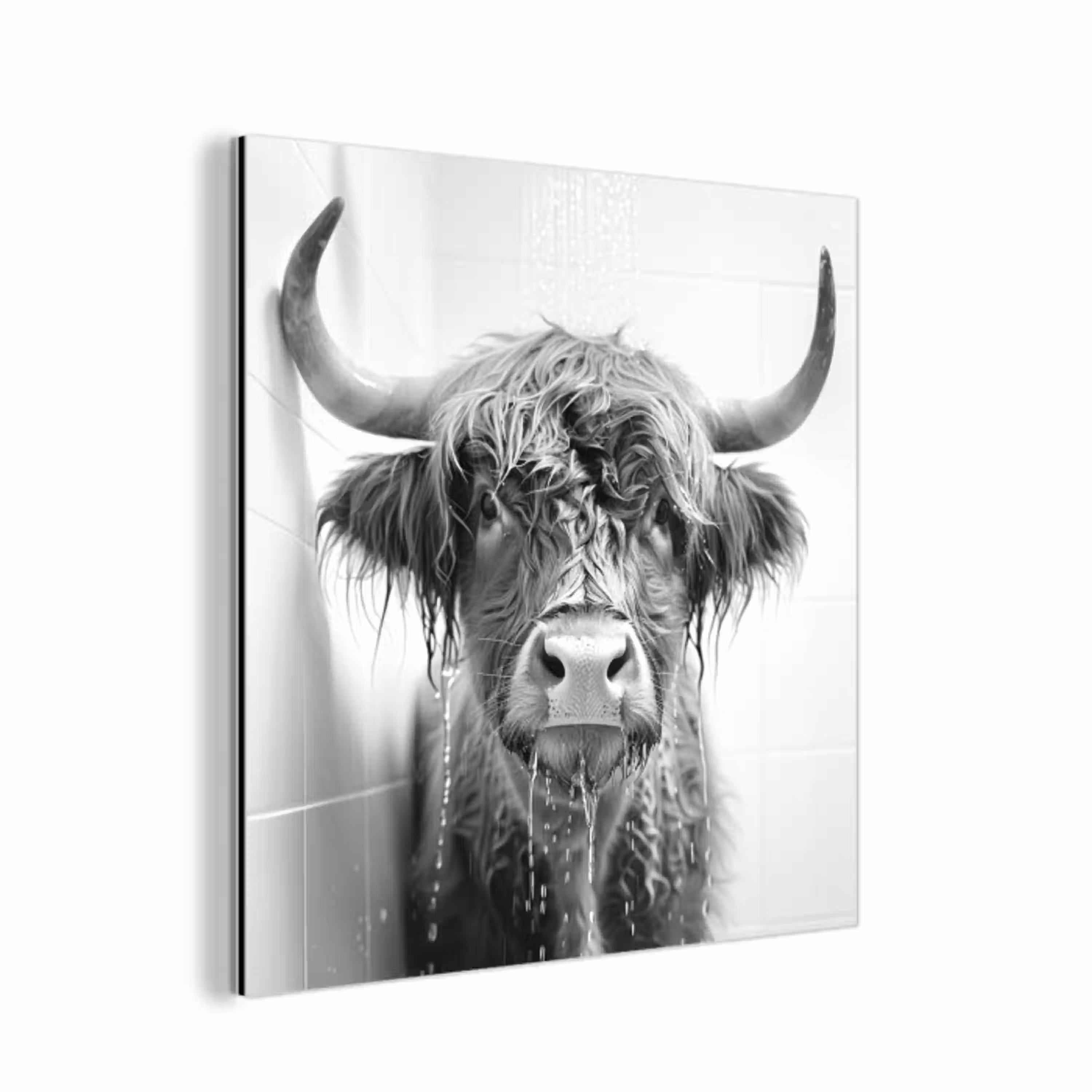 Schotse Hooglander - Dier - Douche - Humor aluminium wit klein -3d