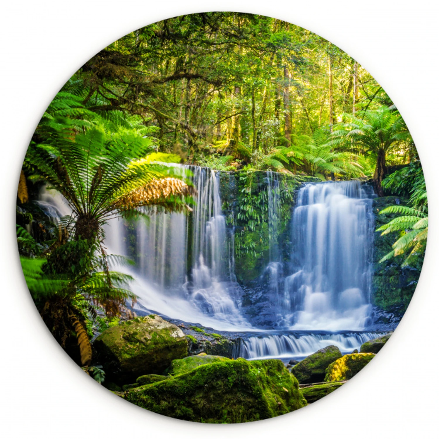 Jungle - Waterval - Australië - Planten - Natuur Wandcirkel kunststof plaat 5mm dik klein -3d