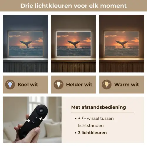 Walvis staart - Water - Zonsondergang Light Box met batterij (Wandlamp) middel -USP_lichtkleurNL