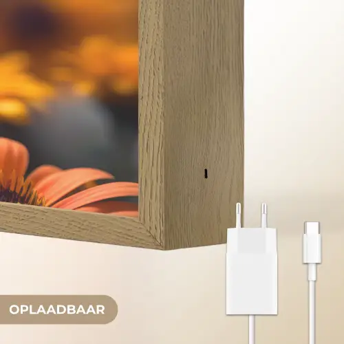 Vlinder - Dier - Kleurrijk - Bloemen - Natuur Light Box met batterij (Wandlamp) middel -USP_websiteoplaadbaarNL