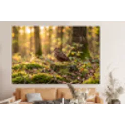 Houtsnip - Bos - Bladeren - Herfst - Gecamoufleerd forex 5mm xxl -bovenbank