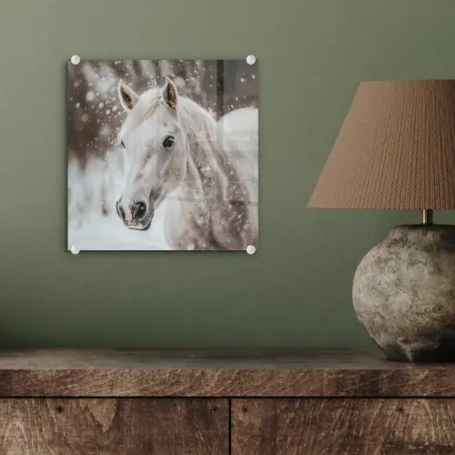 Paard - Wit - Winter - Natuur - Sneeuw - Dieren plexiglas 5mm klein -sfeer3